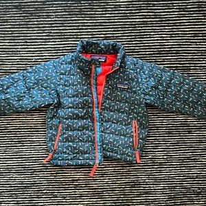 Patagonia 2T down coat